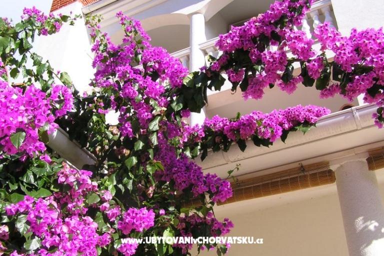 Apartmanok Paloma blanca - Oaza Reg – fotó 2