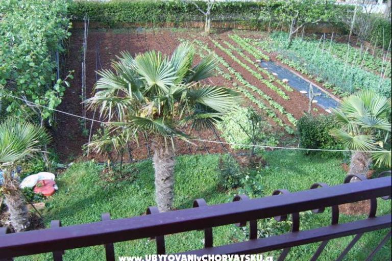 Apartmanok Zova – fotó 8