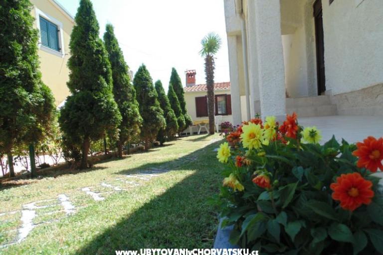 Apartmanok Regi – fotó 8