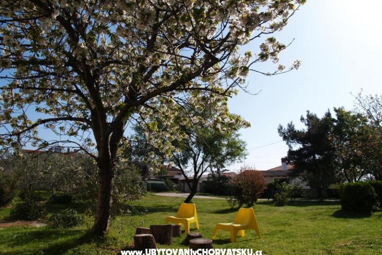 Comtemporary Apartman – fotó 15