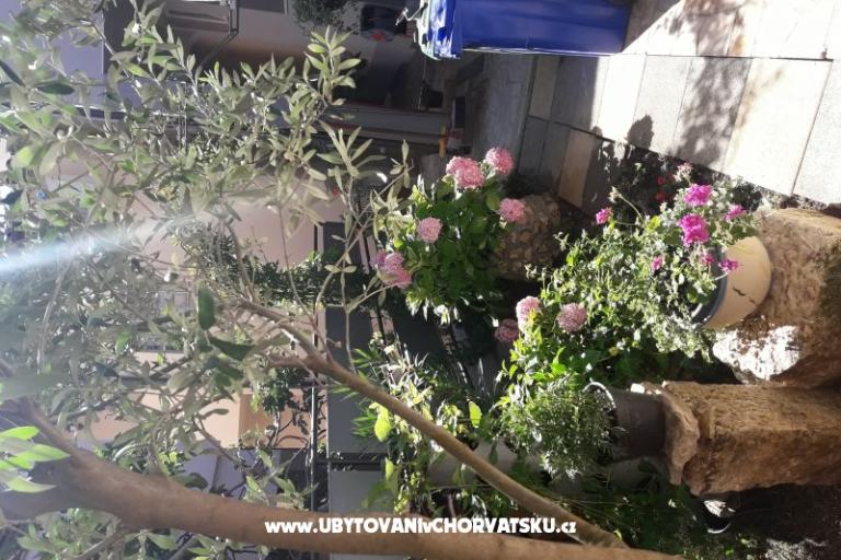 Apartmanok SUNI – fotó 6