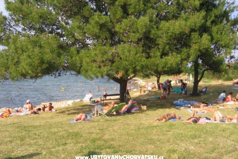 Apartmanok Tomy – fotó 17