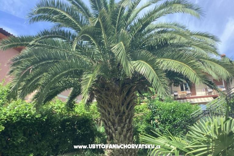 Apartmanok Rubinić  – fotó 19
