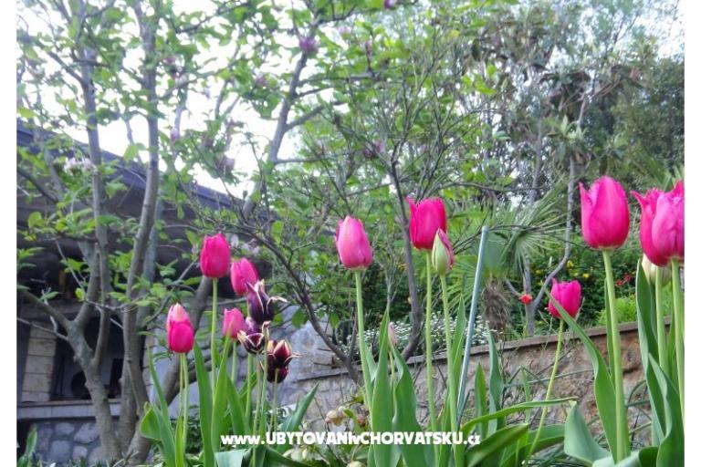 Apartmanok Vera – fotó 18