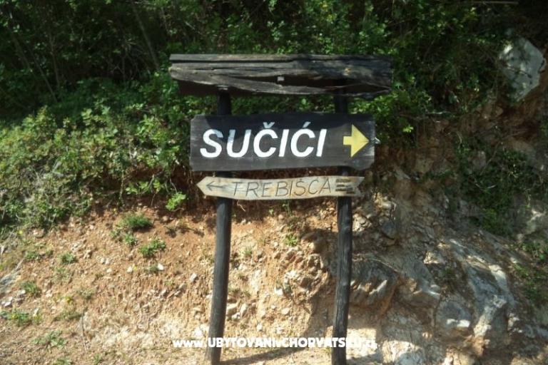 Vakáció Mickey – fotó 19