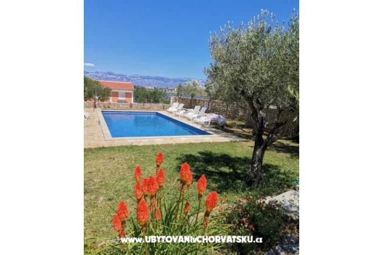 Apartmanok Ante – fotó 3