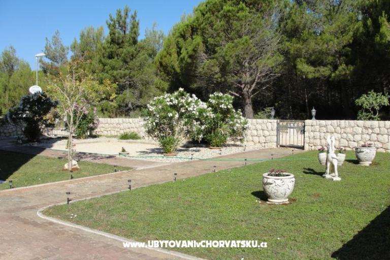 Apartmanok Dario – fotó 12