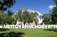 Apartmanok Pavlović – fotó 16