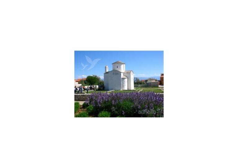 Apartmanok Popović – fotó 20