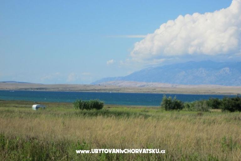 Apartmanok Roza – fotó 11