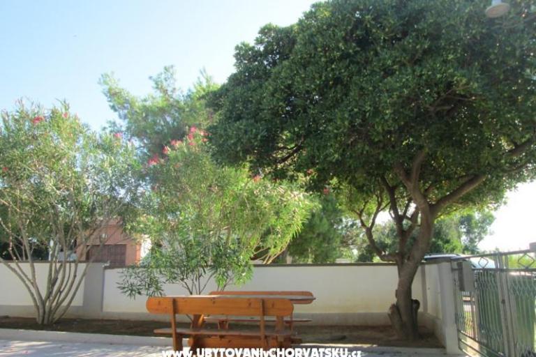 Apartmanok Roza – fotó 4