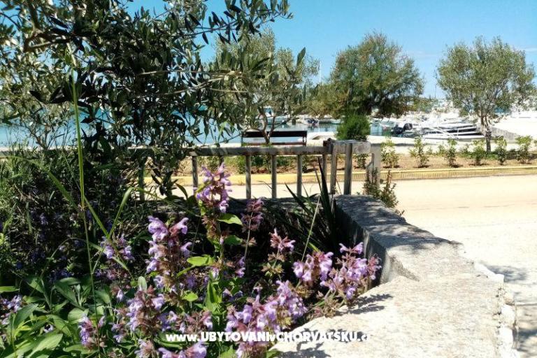 Apartmanok Skoljic – fotó 12