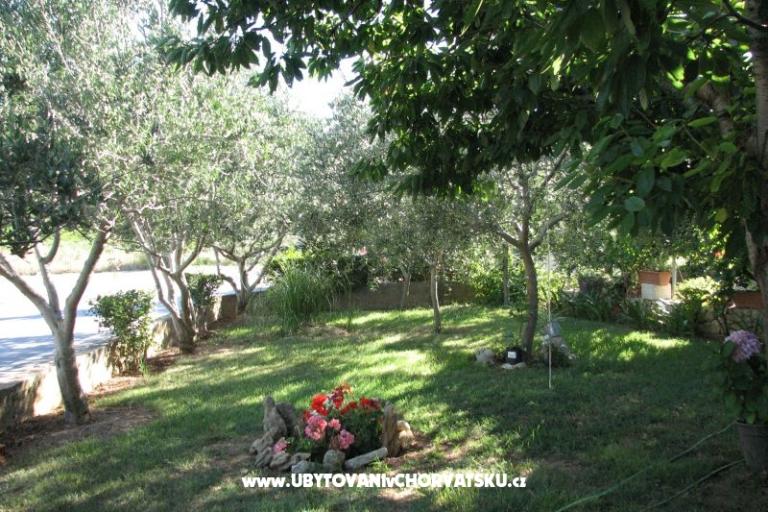 Apartmanok Baras – fotó 4