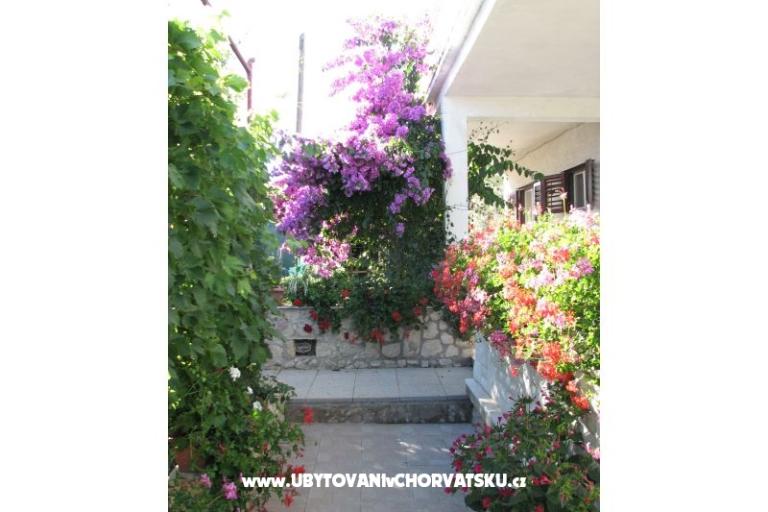 Apartmanok Baras – fotó 6
