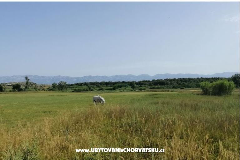 Apartmanok Seaside – fotó 17