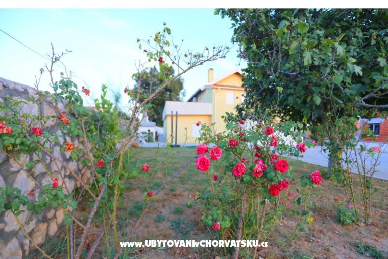Apartman Novak Rudic – fotó 2