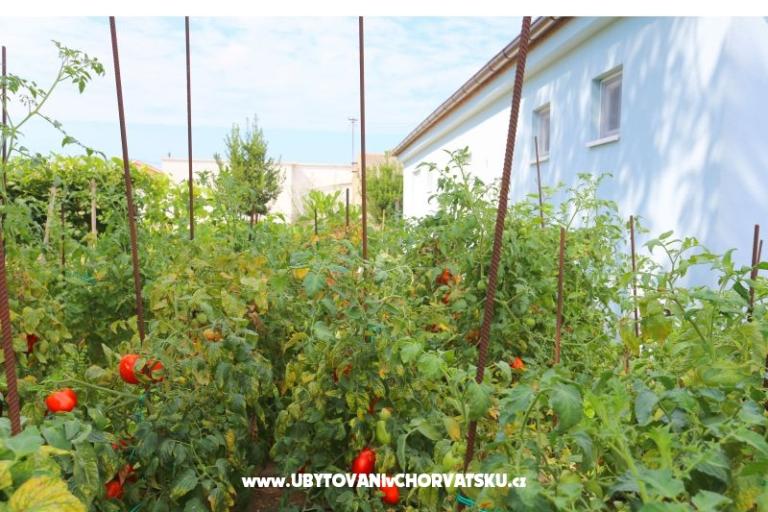 Holiday Home POMALO – fotó 15