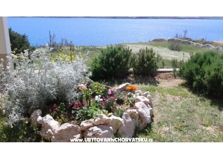 Apartmanok Ante – fotó 5