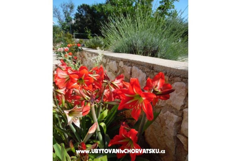 Apartmanok Dabo – fotó 5
