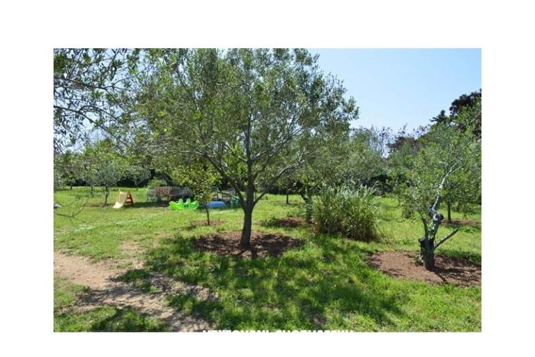 Apartmanok Danijela – fotó 6