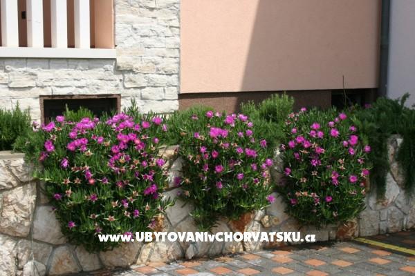 Apartmanok Grga – fotó 5