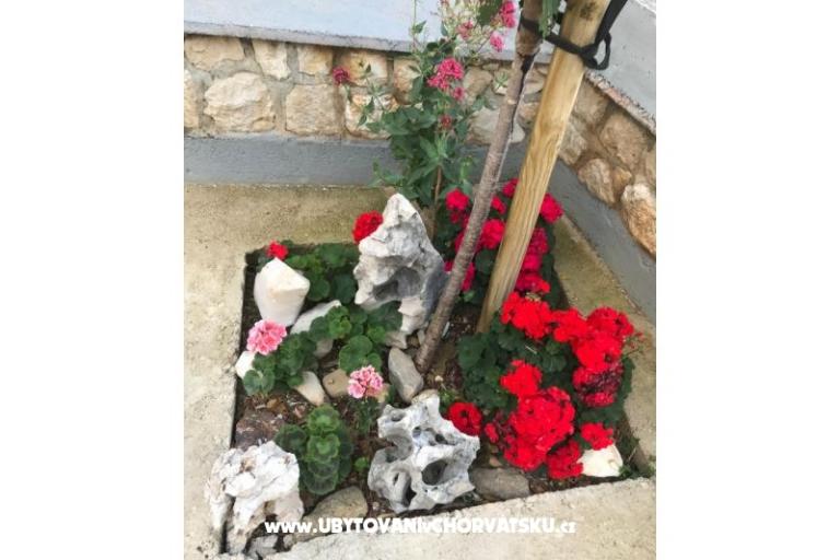 Apartmanok Katarina – fotó 18
