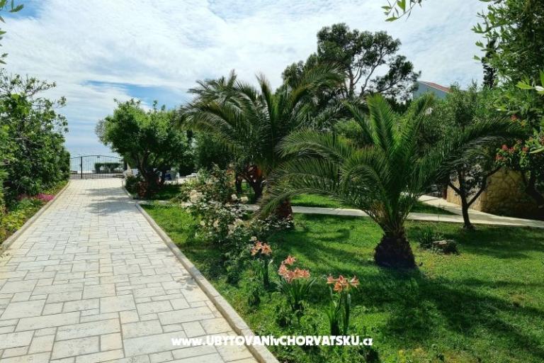 Apartmanok Ostrea – fotó 15