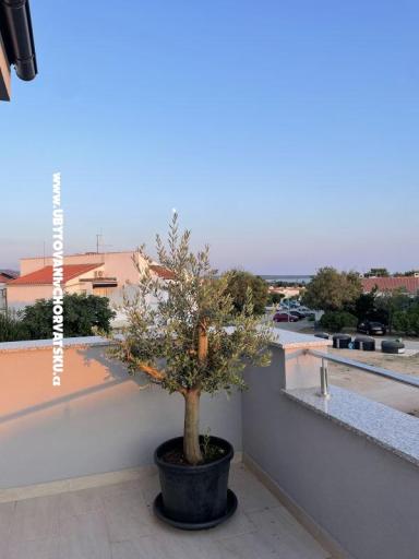 Traumhafte Ferienwohnung in Gajac – fotó 17