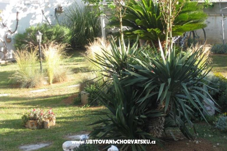 Villa Carrington – fotó 3