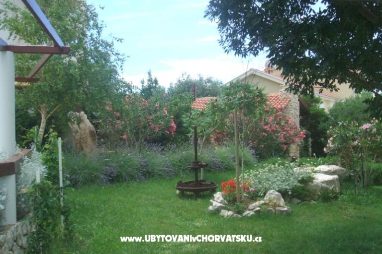 Wawa apartmani – fotó 2