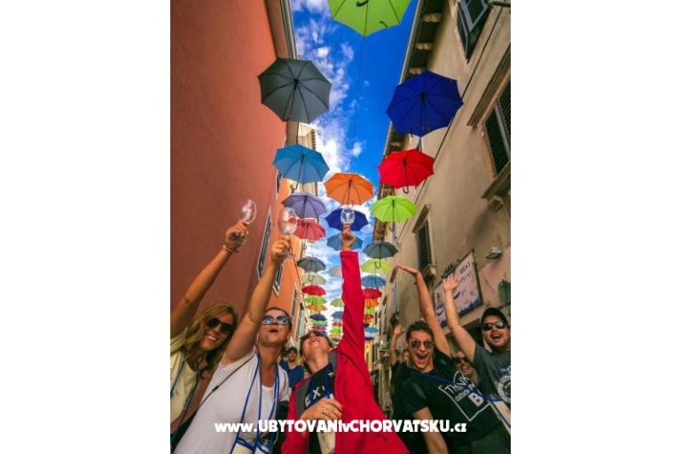 Apartmanok Tina – fotó 14