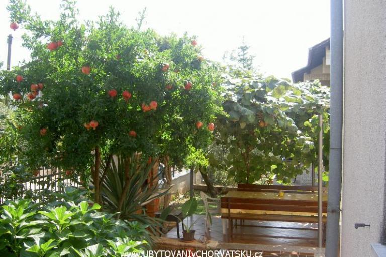 Apartmanok Vošten – fotó 5