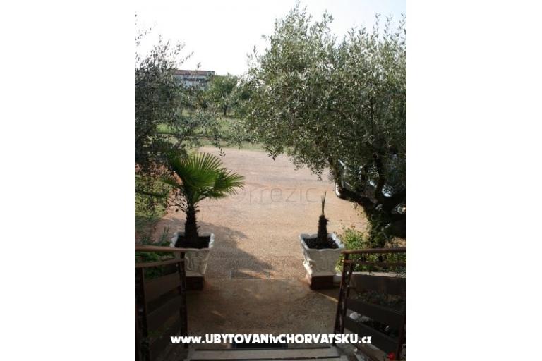 Apartman Adriana Stancijeta – fotó 11