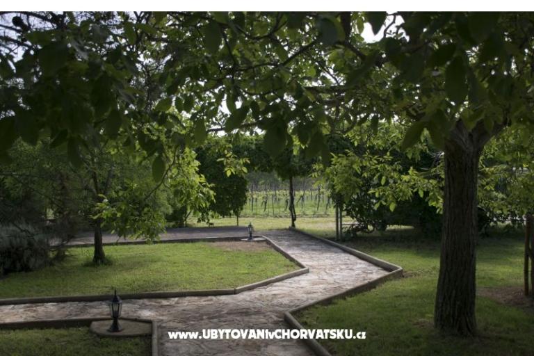 Sanja Apartmanok Novigrad – fotó 7