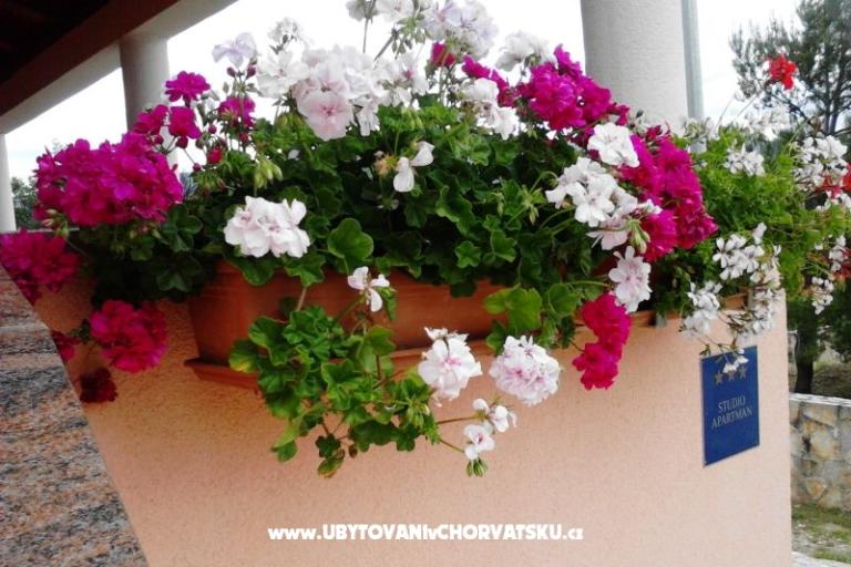 Apartman Jasna – fotó 14