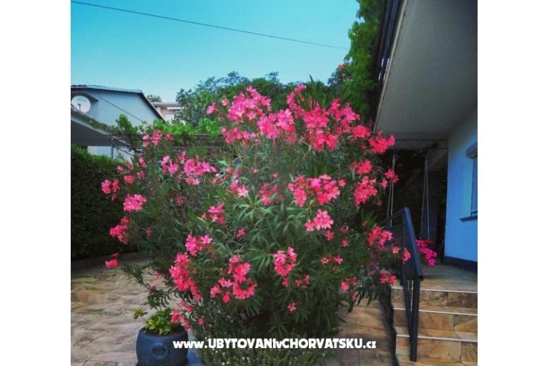 Apartmanok BUTKOVIĆ DUBRAVKA – fotó 12