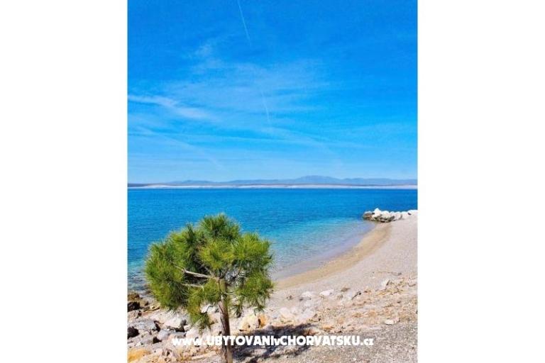 Apartmanok Luka – fotó 15