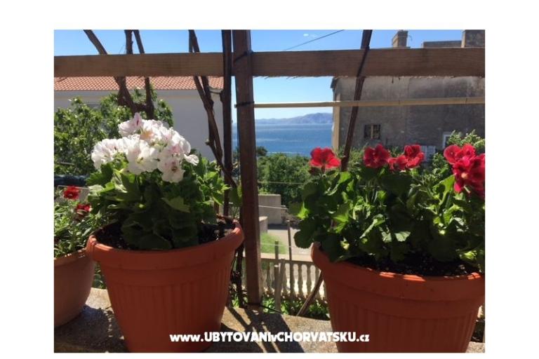 Apartmanok Marijana – fotó 17