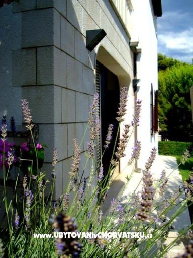Apartman Mimice – fotó 2