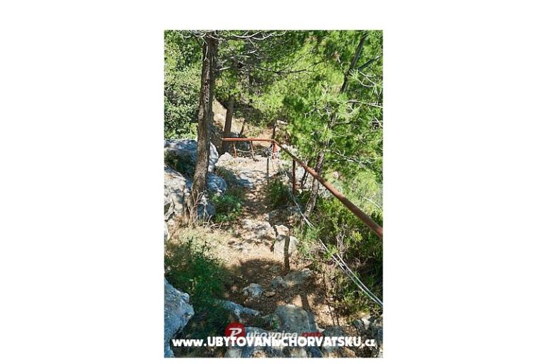 Apartmanok AGAVA – fotó 23