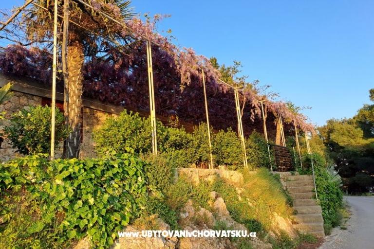 Apartmanok AGAVA – fotó 24