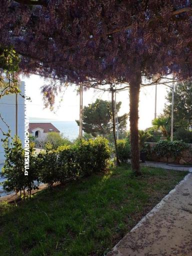 Apartmanok AGAVA – fotó 27