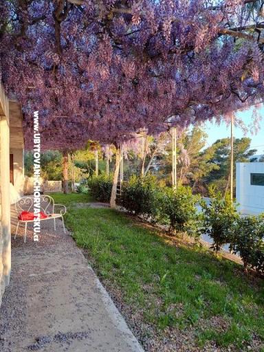 Apartmanok AGAVA – fotó 28