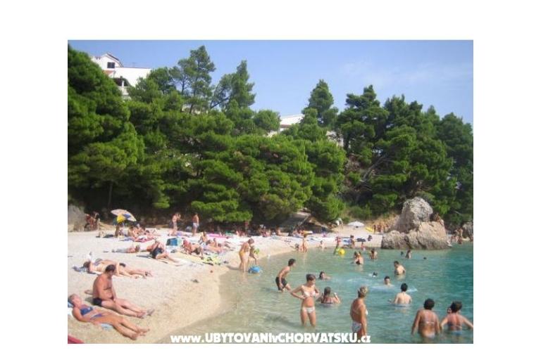 Apartmanok Vila ALEN – fotó 12