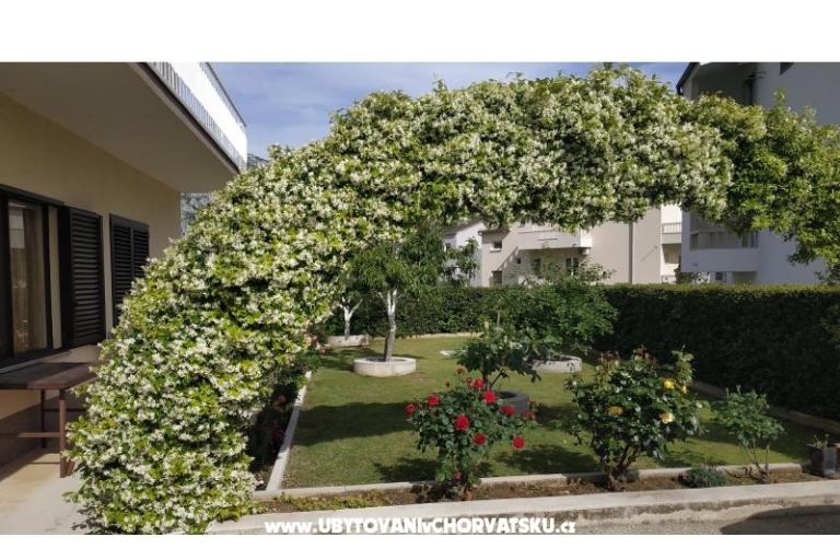 Apartmanok Danica – fotó 5