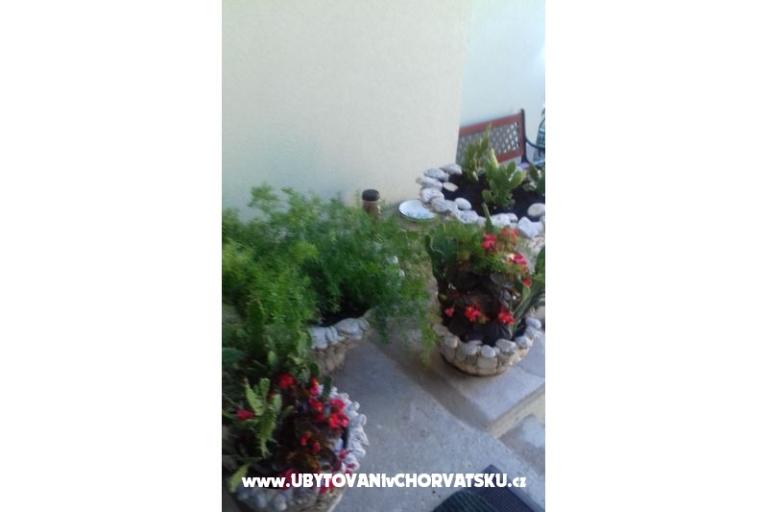 Apartmanok Draga – fotó 10