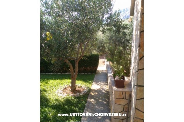 Apartmanok Draga – fotó 7