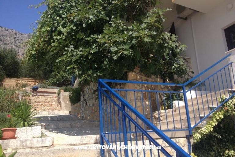 Apartmanok Dragana – fotó 14