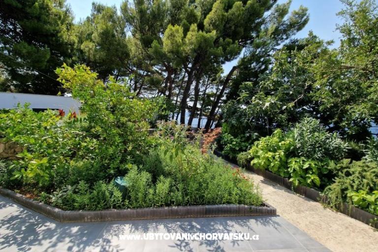 Apartmanok Hajdi – fotó 24