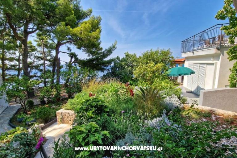 Apartmanok Hajdi – fotó 26